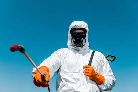 Real Estate Pest Inspections in Hemlock, MI